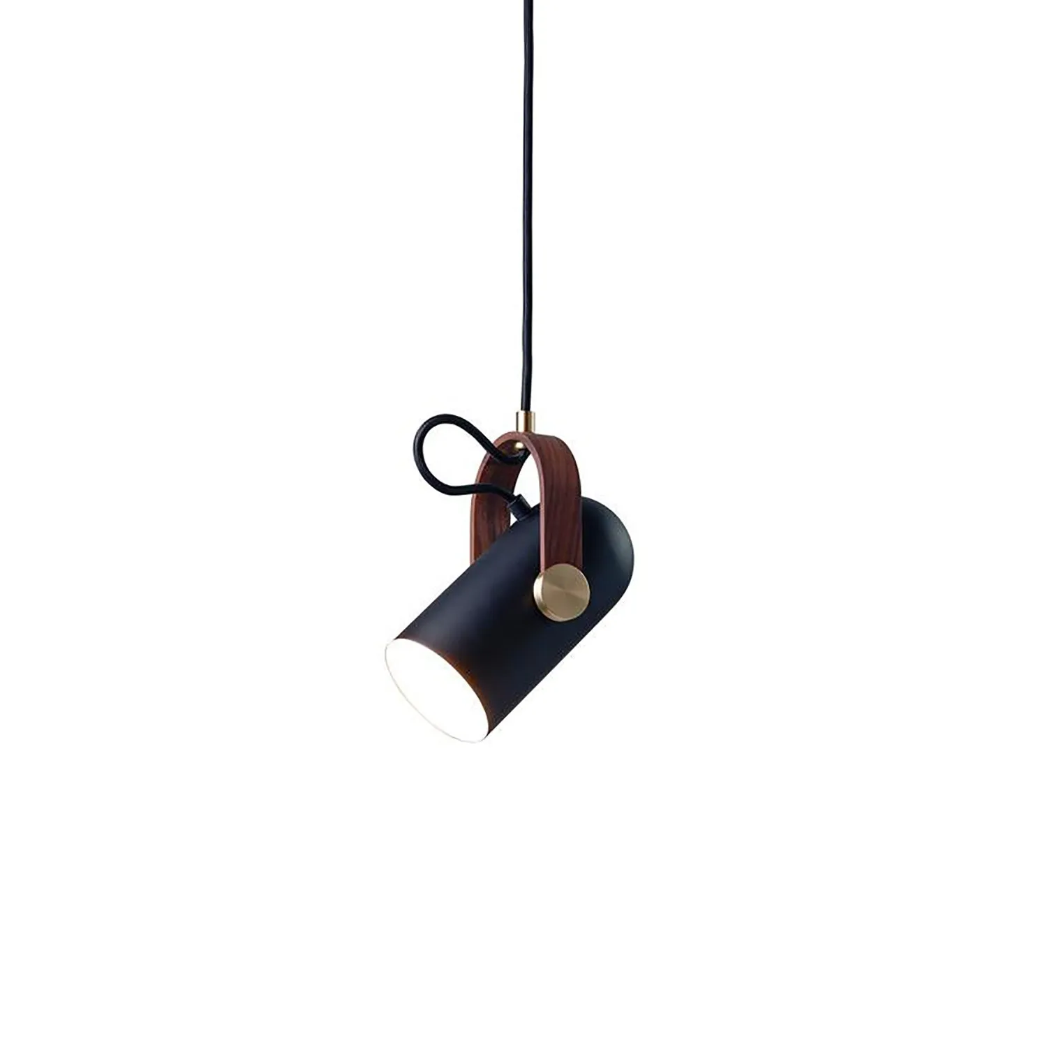 Carronade Spot Pendant Light