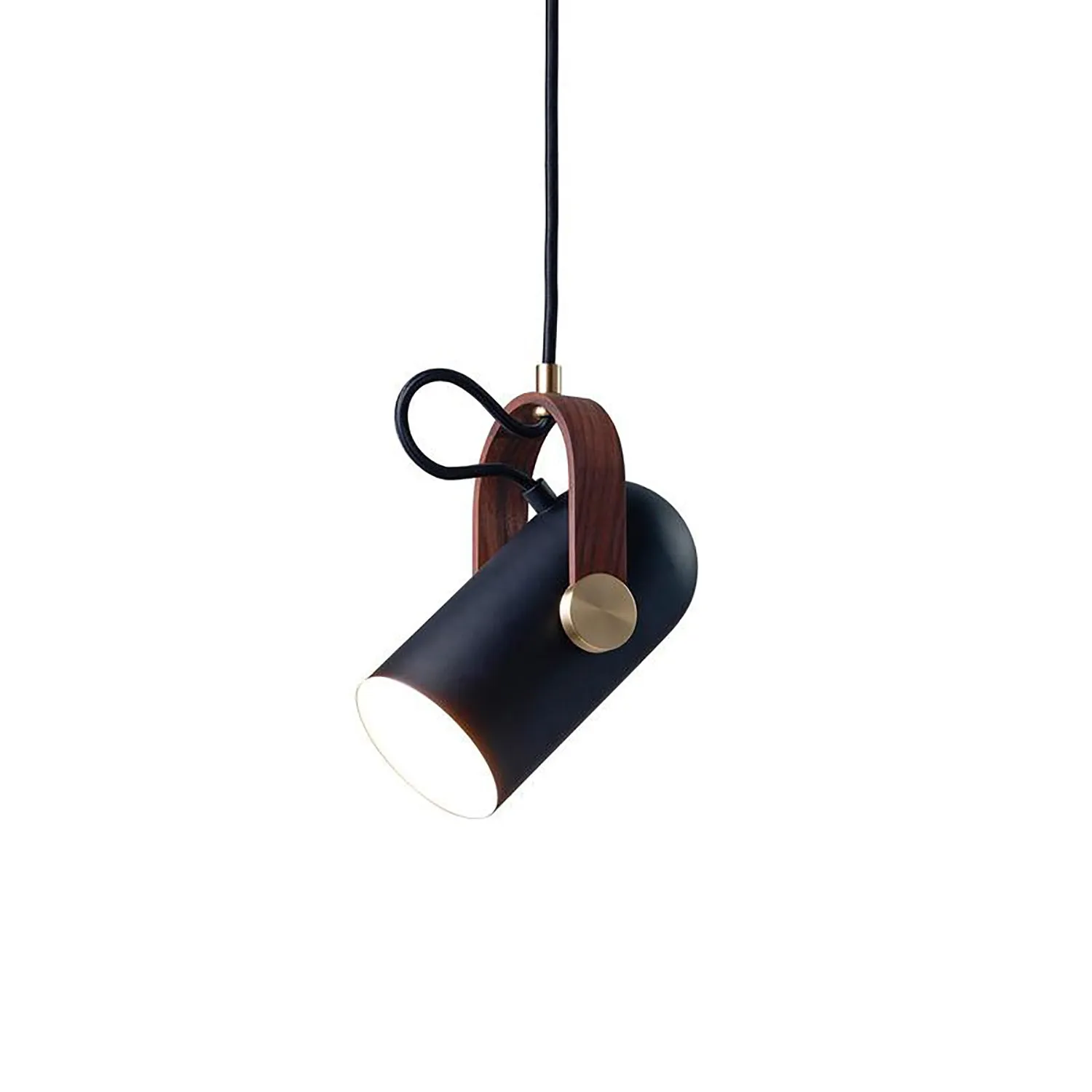 Carronade Spot Pendant Light