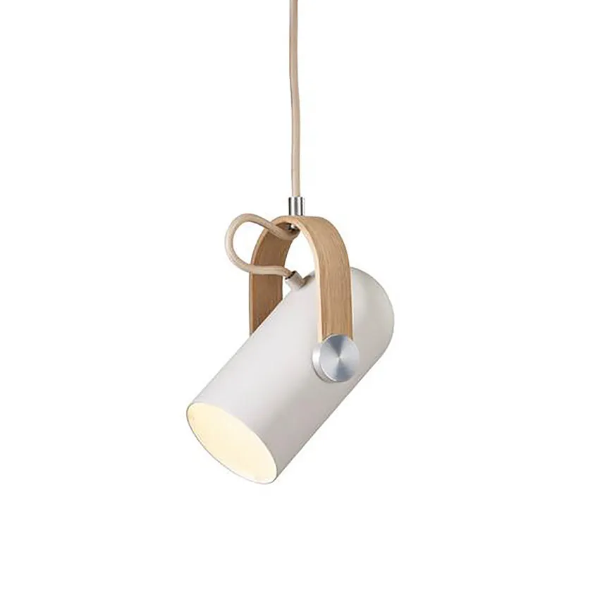 Carronade Spot Pendant Light