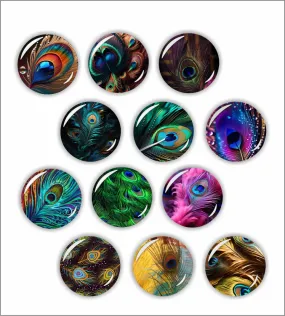 Rangoli 35mm Beautiful Peacock Feathers 3D Glass Fridge Magnets for Home Decoration Sticking Notes and Gifting (Pack of 12)