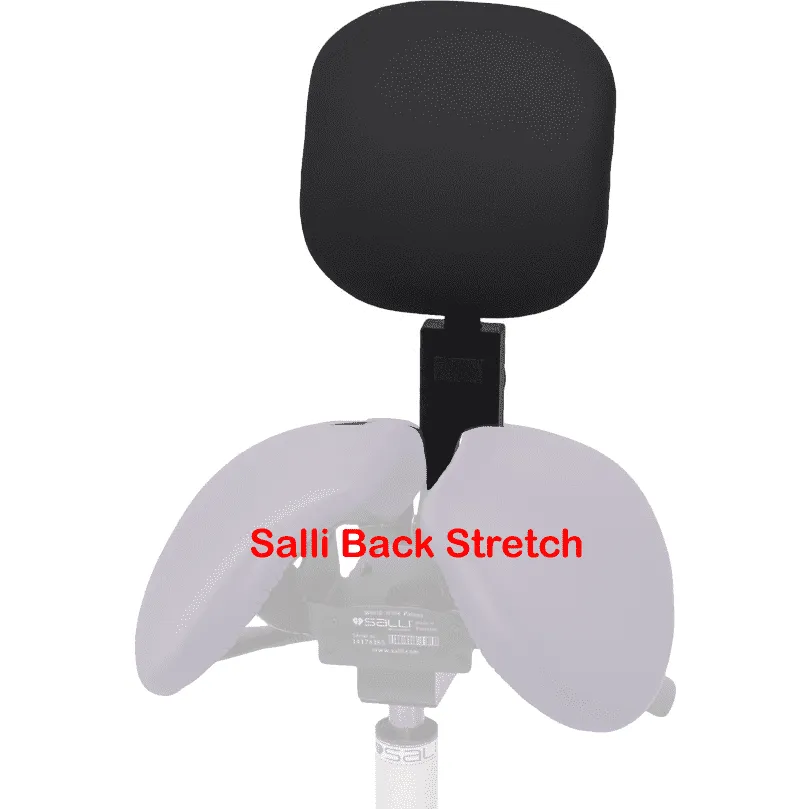 Salli Light Tilt Ergonomic Medical Chair or Stool