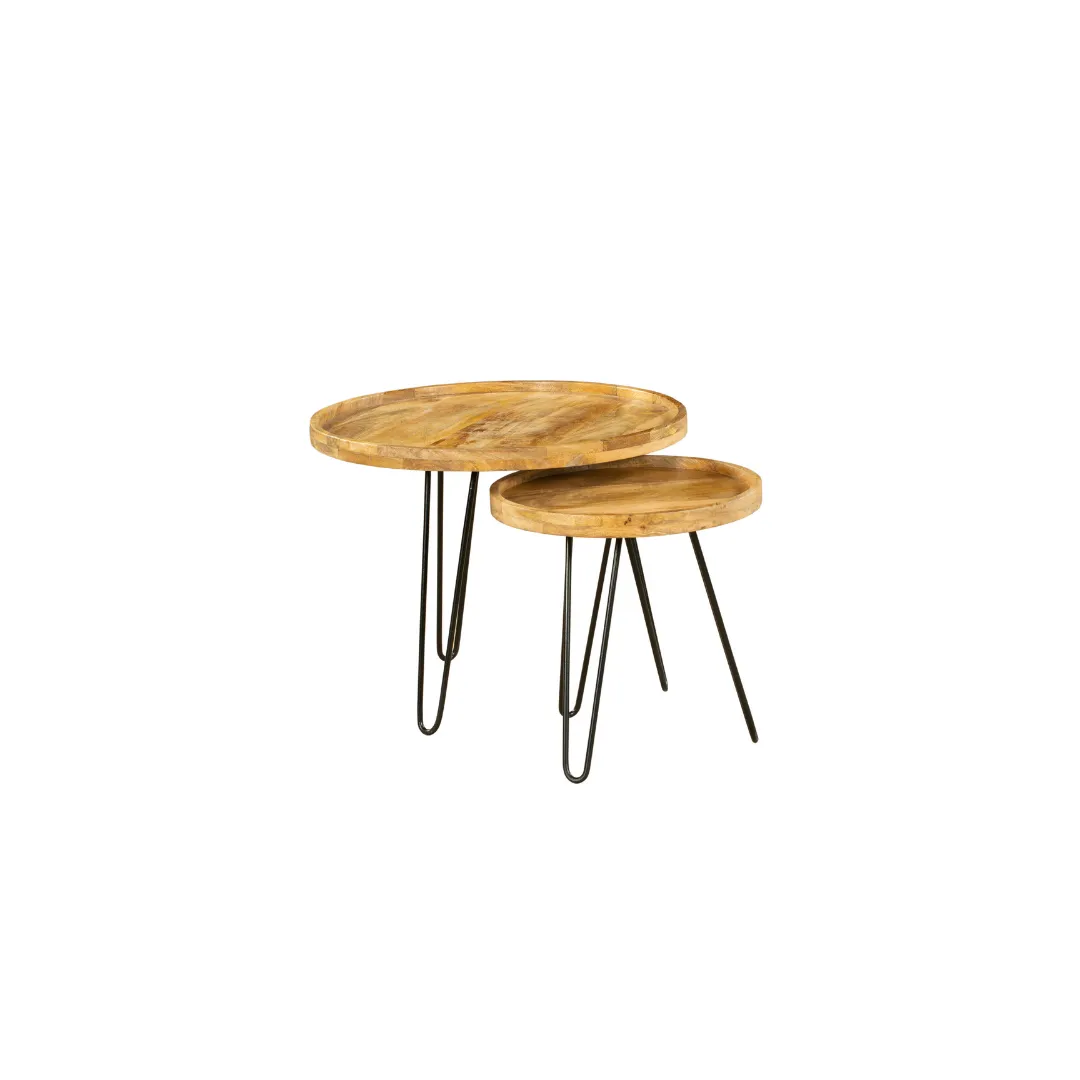 Set Of 2 Purna Round Wooden Nested Tray Coffee Table