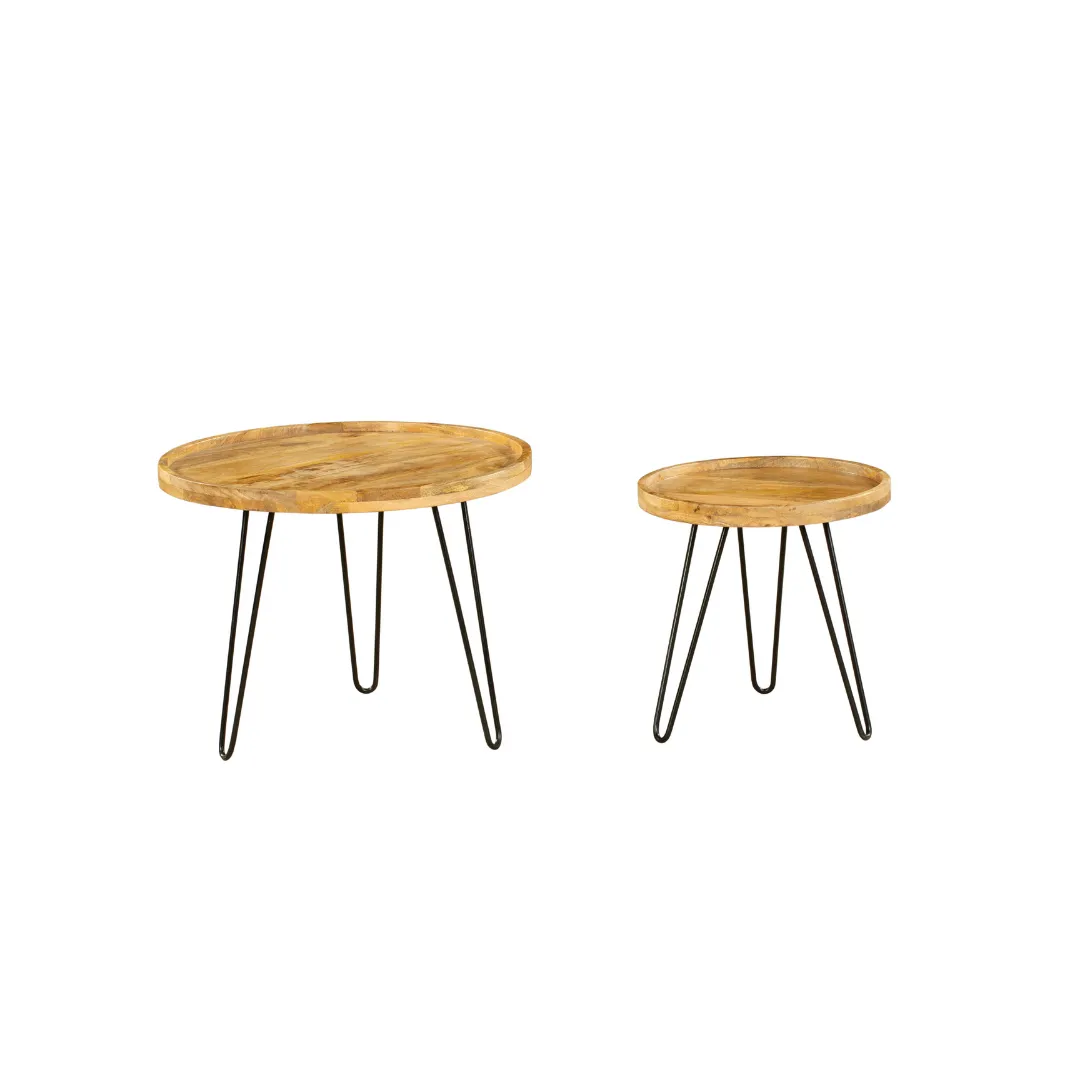 Set Of 2 Purna Round Wooden Nested Tray Coffee Table