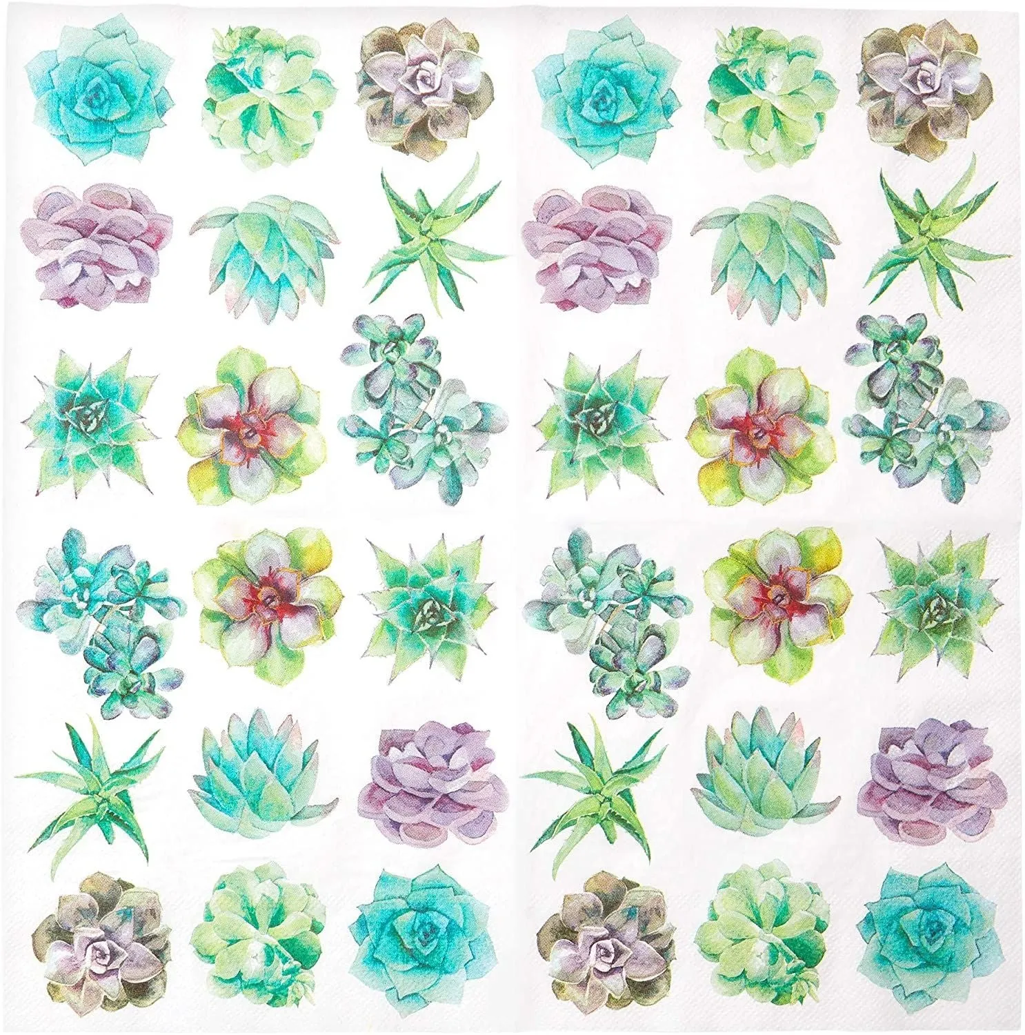 Succulent Paper Napkins for Birthday Party (6.5 In, 100 Pack)