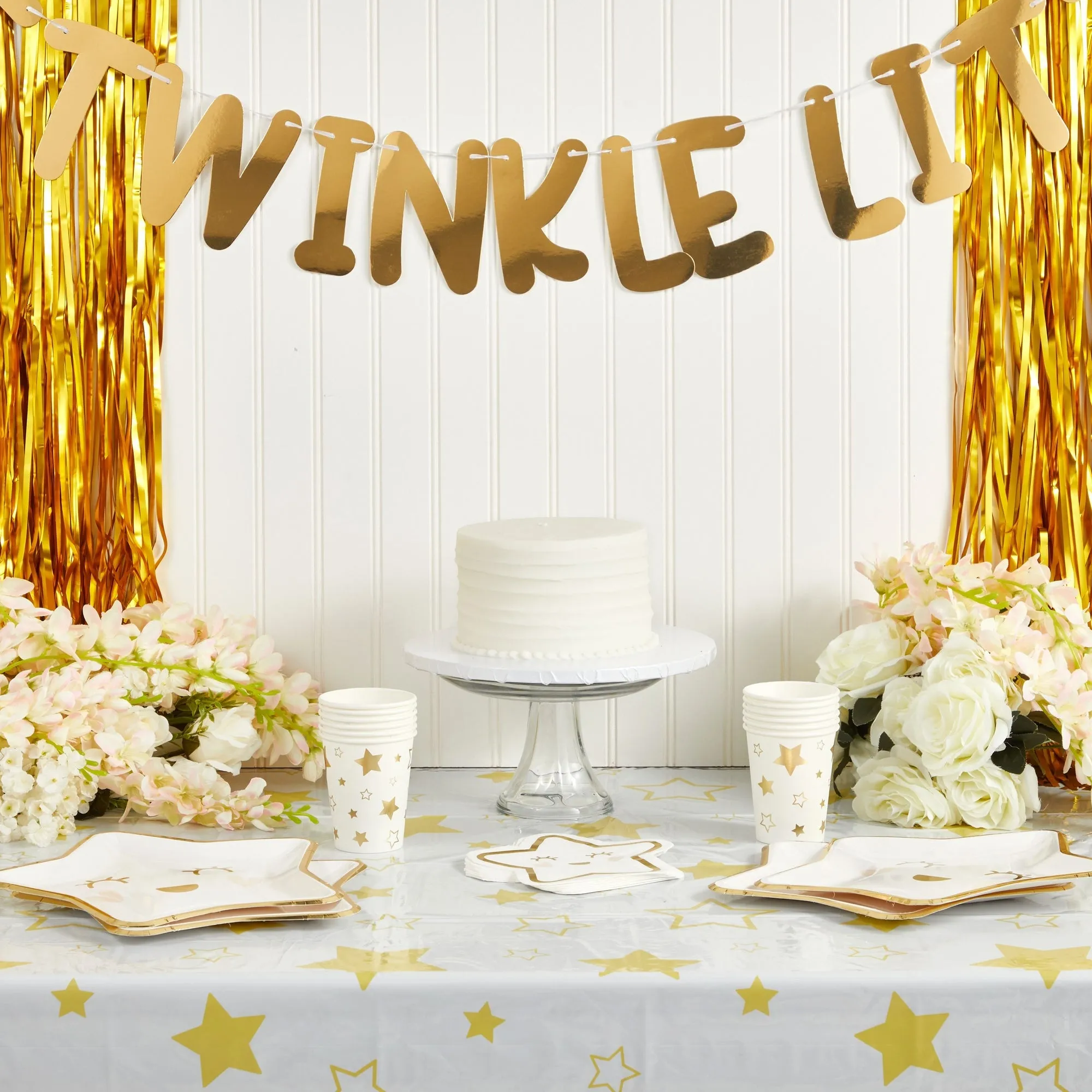 Twinkle Twinkle Little Star Party Supplies for Gender Reveal, Baby Shower (Serves 24)